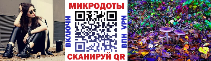 KRAKEN вход Болхов Псилоцибиновые грибы Cubensis